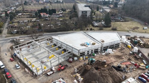 DJI_20250306032520_0276_D.JPG
